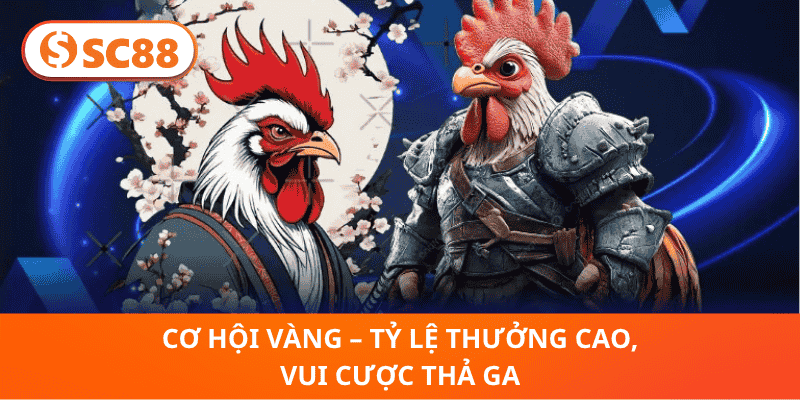 Cơ Hội Vàng – Tỷ Lệ Thưởng Cao, Vui Cược Thả Ga