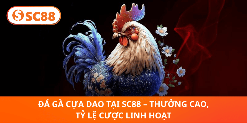 Đá Gà Cựa Dao tại SC88 – Thưởng Cao, Tỷ Lệ Cược Linh Hoạt